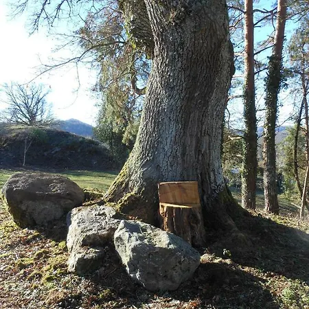Hébergement de vacances La Maison Sur La Colline